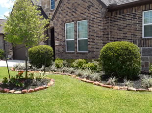 Bush Trimming by Rodney Leatherwood for Marty C. in Spring, TX