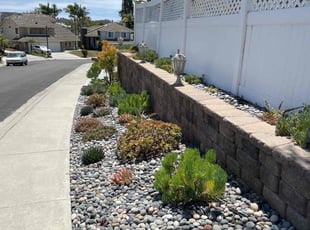 Bush Trimming by Nicholas Poulsen for C D. in San Diego, CA