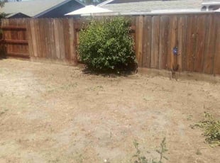 Bush Trimming by Bert Gibbs Gibbs for Trey M. in Oakdale, CA