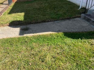 Terrance D.'s Lawn Care service result