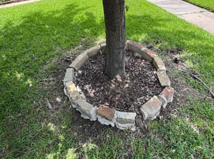 Weeding by Maria Hernandez for Nick A. in Coppell, TX