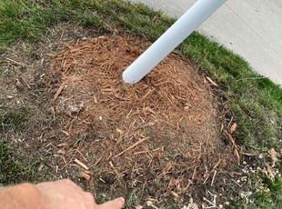 Bush Trimming by Connor Doyle for Andrew P. in Minneapolis, MN