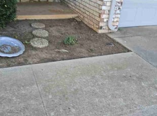 Weeding by James Archer for Michelle T. in Oklahoma City, OK