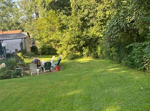 Shannon R.'s Grass Cutting service result