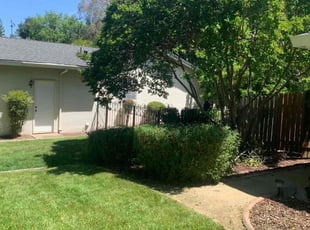 Bush Trimming by Jonathan Allen for Heather W. in Rocklin, CA