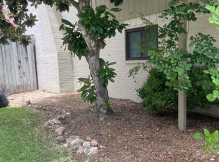 Weeding by Javan Lopez for Meaghan G. in El Lago, TX