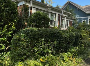 Bush Trimming by Erica Smedley for Kathy F. in Charlotte, NC