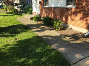 Cleanups by Brooke Ardoin for Tod P. in Elmhurst, IL