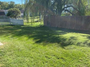 Karen D.'s Lawn Service service result