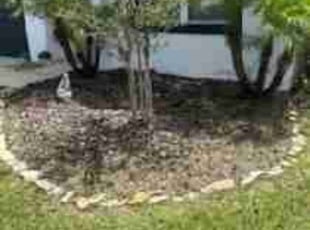 Weeding by Samanthia Taylor for Kyowa c. in Brooksville, FL