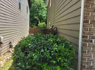 Bush Trimming by Shaquille Davis for Kristy Q. in Greenville, SC