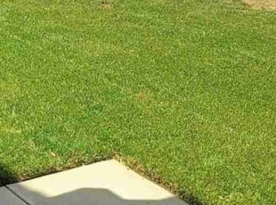 Karen T.'s Yard Cutting service result