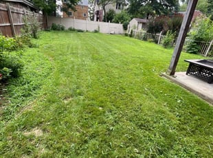 Cleanups by Vincent Daniele for Jessica S. in Pittsburgh, PA