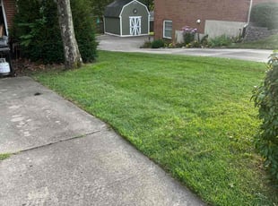 Jamie B.'s Lawn Mowing service result