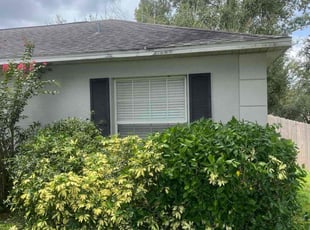 Bush Trimming by Bodi Wartenberg for Brandon G. in Minneola, FL