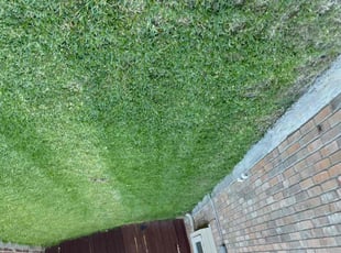 Michael S.'s Lawn Care service result