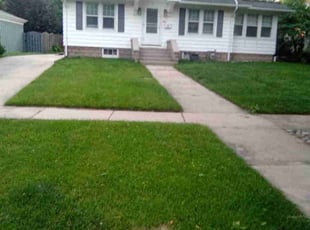 Alexandria A.'s Lawn Mowing service result