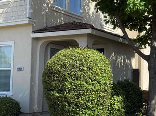Bush Trimming by Diego Mojica for Haleigh M. in Rancho Cordova, CA