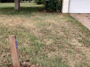 Bush Trimming by Muhammad Rasheed for Laura C. in Midwest City, OK