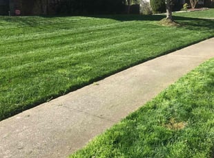Martha K.'s Lawn Mowing service result