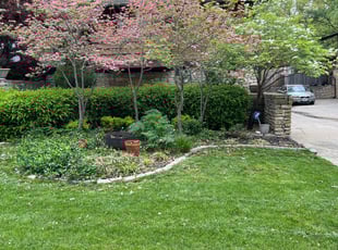 Leaf Removal by Joel Friedrich for Luke W. in Kansas City, MO
