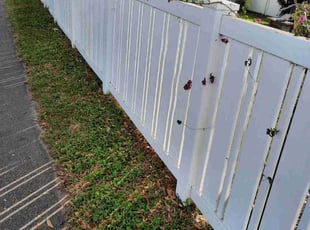 Leaf Removal by Derrick Smith for Nikki F. in Gulfport, FL