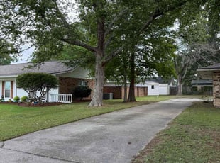 Justina U.'s Yard Cutting service result