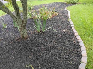 Cleanups by Elmer Ayala for undefined A. in Lawrenceville, GA