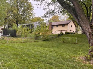 Lisa H.'s Yard Cutting service result