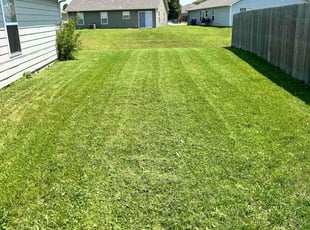 Todd R.'s Lawn Mowing Service service result