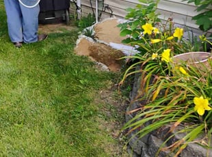 Weeding by Jeremy Parmenter for John M. in Pleasant Hill, IA
