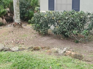 Bush Trimming by Yohan Torres for Joseph W. in Kissimmee, FL