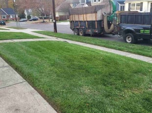 Leaf Removal by Miguel Santos for Analisa E. in Bethesda, MD