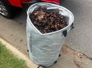 Leaf Removal by Cory Hyacinthe for Robb H. in Raleigh, NC