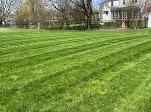 Deborah C.'s Lawn Care service result