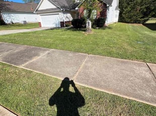 Bush Trimming by Jamaul Cheddie for Jendayi A. in McDonough, GA