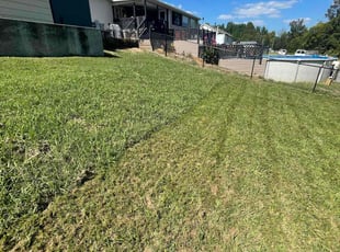 Matthew W.'s Lawn Maintenance service result
