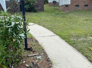 Bush Trimming by Timothy Grant for Damika B. in Columbia, SC