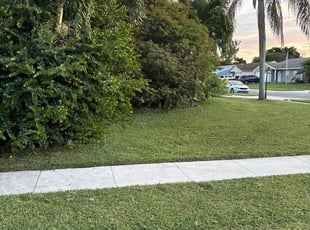 Michael K.'s Lawn Service service result
