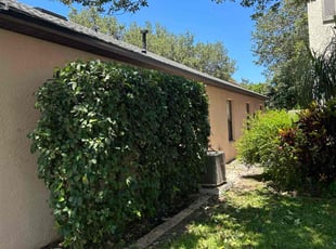 Bush Trimming by Tavares Parks for Megan D. in Titusville, FL