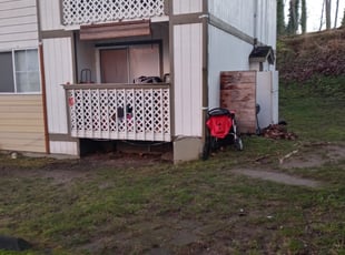 Leaf Removal by Trevor Vert for Martin C. in Tacoma, WA