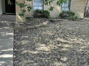 Bush Trimming by Carlos Gomez Vargas for Amanda H. in Dallas, TX