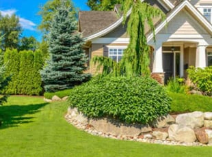 Bush Trimming by John Washington for Jenni T. in West Bloomfield Township, MI