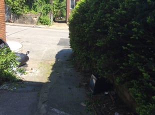 Bush Trimming by Wesley Souders for Vernon G. in Baltimore, MD