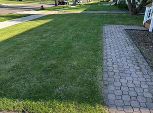 Deja P.'s Lawn Care service result