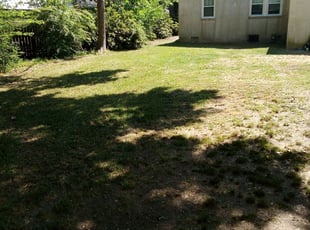 Leaf Removal by Brandon Sanders for Eric W. in Charleston, SC