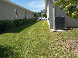 Dena G.'s Lawn Mowing service result
