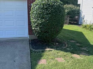 Bush Trimming by Keith Vickers for Donna W. in Amelia, OH