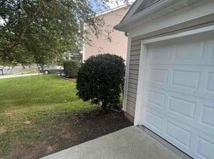 Bush Trimming by Steven Phillips for Jordan S. in Charlotte, NC