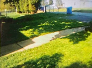 Leaf Removal by Saundra Davis-Lue for Jeannette K. in Harrisburg, PA